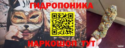 молекула духа Краснознаменск