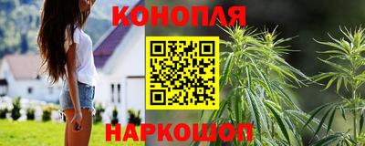 индика Краснодар