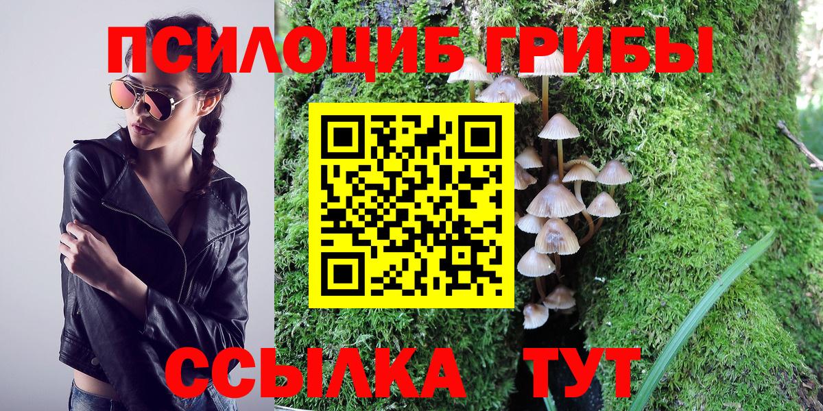 Псилоцибиновые грибы Psilocybe  Галлюциногенные грибы мухоморы  Вход с VPN  Ирбит 